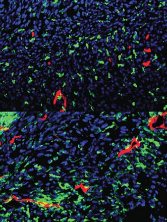 Issue cover image