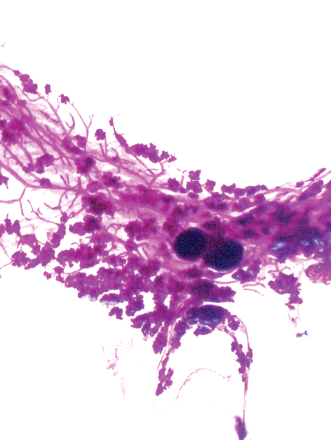 Issue cover image