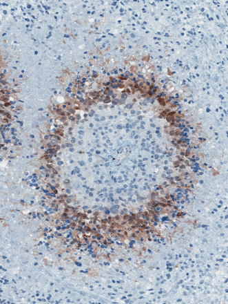 Issue cover image