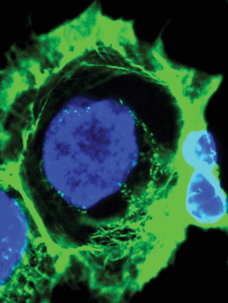Issue cover image
