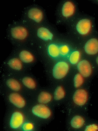 Issue cover image