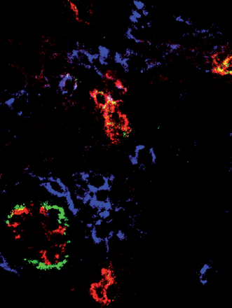 Issue cover image