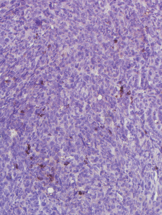 Issue cover image