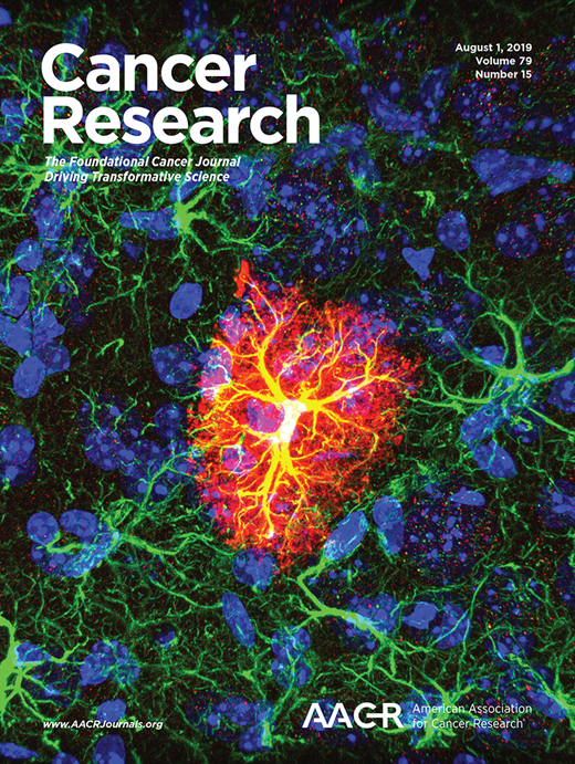 Cancer Research Cover Image for Volume 79, Issue 15