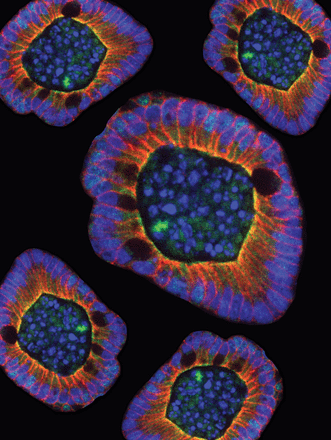 Issue cover image