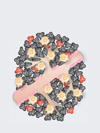Issue cover image