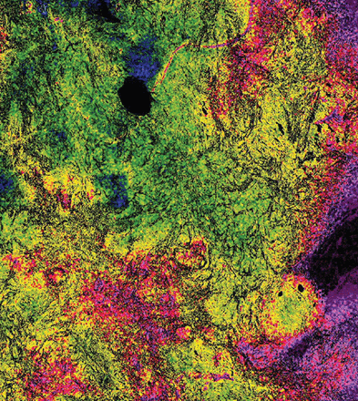 Issue cover image