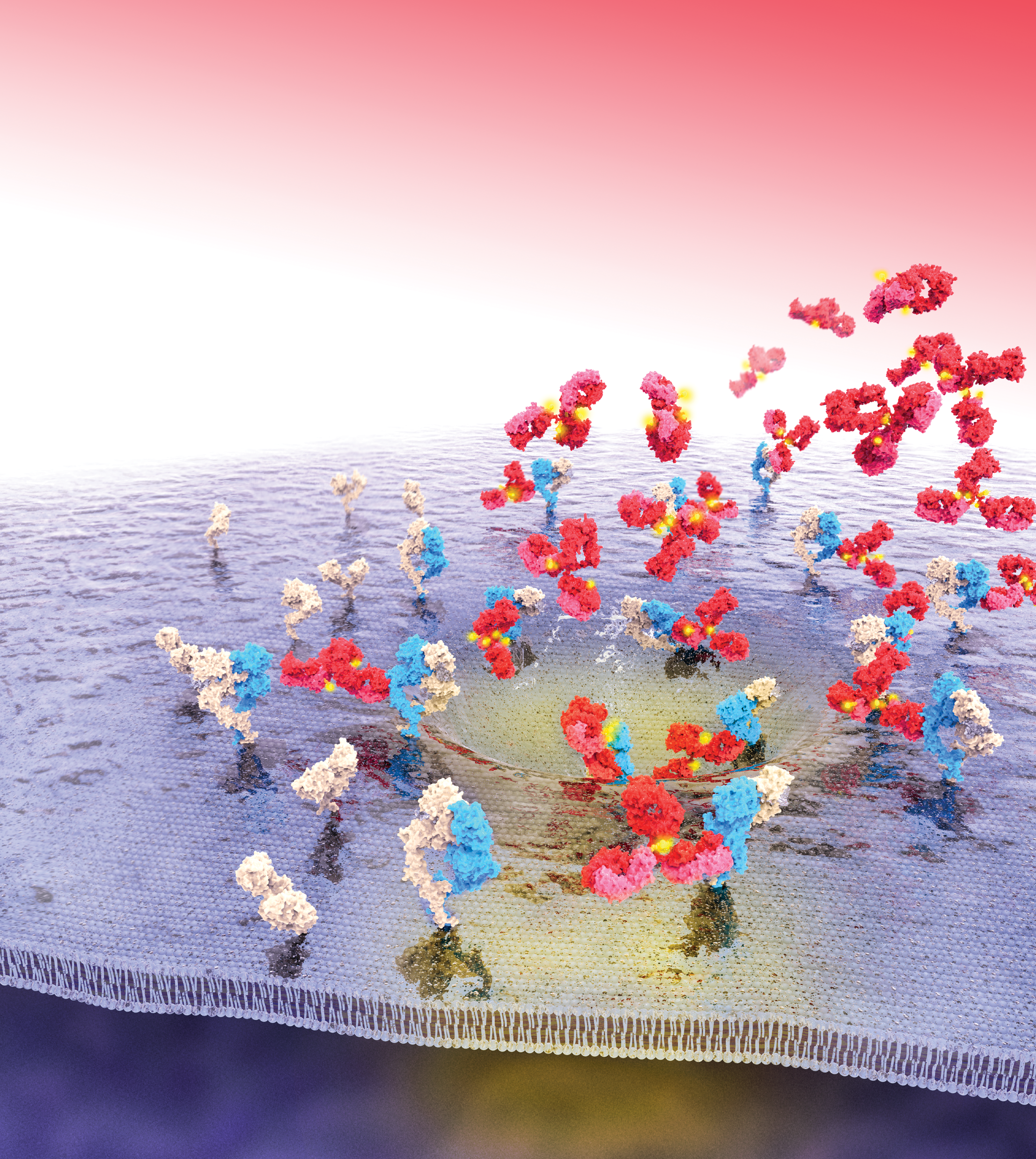 Issue cover image