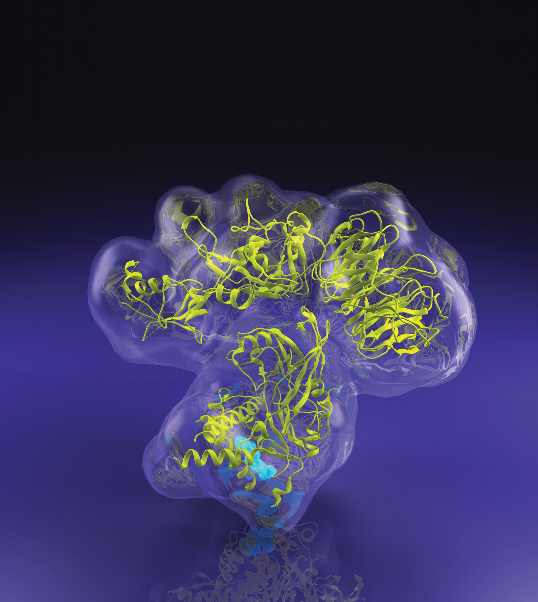 Issue cover image