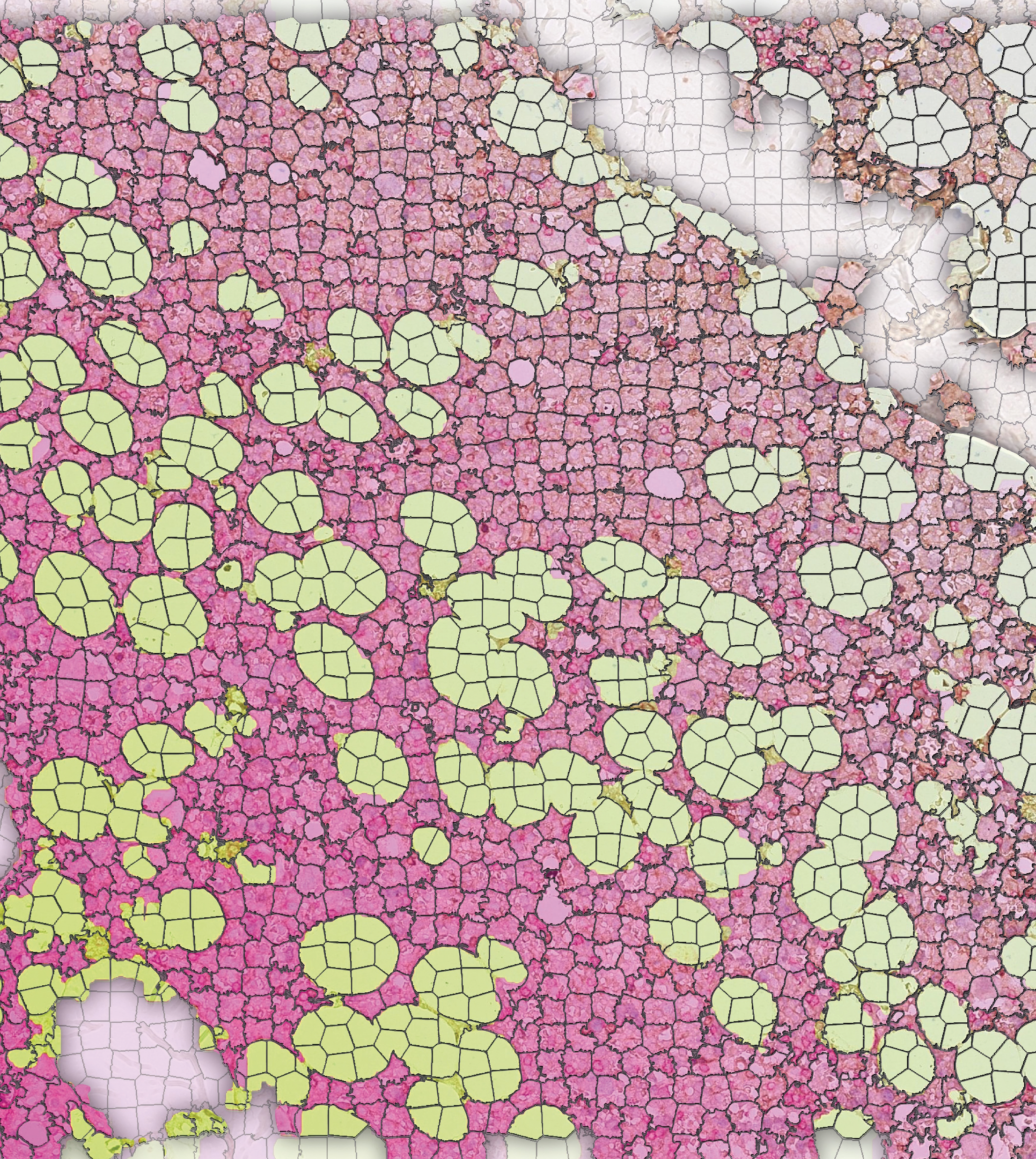 Issue cover image