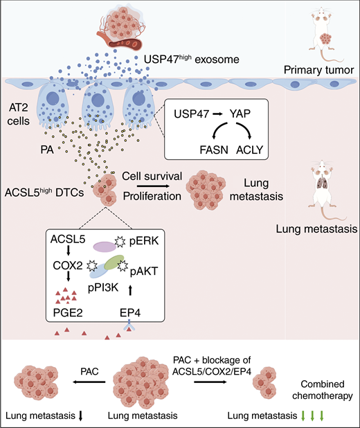 �����ͼƬ˵����