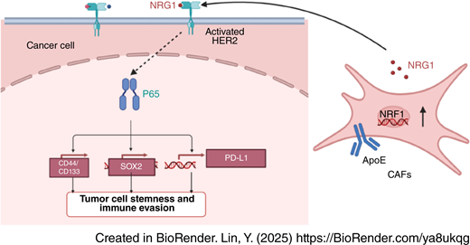 �����ͼƬ˵����