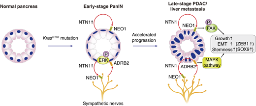 ͼ�����������ͼƬ˵����