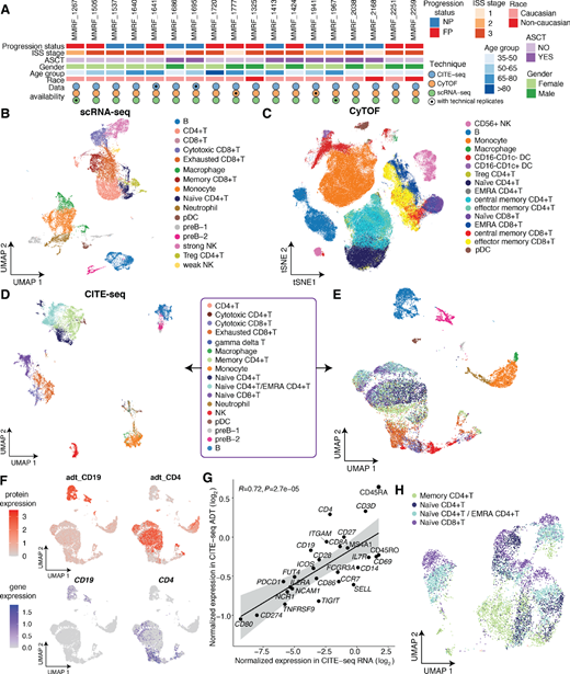 Overview of cell populations of 18 multiple myeloma patient samples subject to scRNA-seq, CyTOF, and CITE-seq. A, Patient characteristics and single-cell data collection. FP and NP denote fast progressors and nonprogressors, respectively. ISS = International Staging System. ASCT = Autologous Stem Cell Transplantation. B, UMAP projection of integrated scRNA-seq data, with cells colored by immune cell types. C, t-SNE projection of integrated CyTOF data, with cells colored by immune cell types. D, UMAP projection of integrated CITE-seq data, with cells clustered by integrated RNA and ADT expression, colored by immune cell types. E, UMAP projection of integrated CITE-seq data, with cells clustered by transcriptional level alone, colored by immune cell identities from D. F, Comparison of canonical cell type marker gene expressions between protein level (ADT, top) and transcriptional level (RNA, bottom). Cells are colored by normalized expression. G, Concordance of sample-level average expressions of CITE-seq protein markers measured at RNA level and ADT level. The gray shaded area represents the 95% confidence interval around the line of best fit. R = Pearson correlation coefficient. H, UMAP projection of CD4+ T cells and naïve CD8+ T cells, which is the subset of integrated data in E, with cells clustered by transcriptional level alone, colored by immune cell identities from D and E.