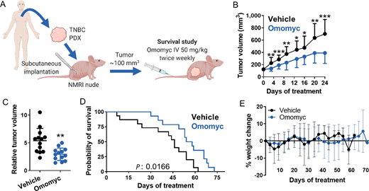 Omomyc reduces mammary tumor growth and extends survival in a TNBC PDX. A, Schematic representation of the PDX mouse model. Pieces from a TNBC tumor biopsy were inoculated subcutaneously into NMRI nude female mice. When tumors reached 100 mm3, mice were treated intravenously with vehicle or with 50 mg/kg Omomyc twice a week until they had to be euthanized (survival study). B, Tumor volume from vehicle- and Omomyc-treated mice during the first 24 days of treatment (when most of the animals were still under treatment). Graph shows mean + SD (vehicle) and mean − SD (Omomyc); statistical significance was determined via two-tailed unpaired t test. C, Relative tumor volume from vehicle- and Omomyc-treated mice after 20 days of treatment. Graph shows mean ± SD; statistical significance was determined via two-tailed unpaired t test. D, Kaplan–Meier survival plot from vehicle- and Omomyc-treated mice. Statistical significance was determined via log-rank (Mantel–Cox) test. E, Percent weight change throughout the survival study. Graph shows mean ± SD.