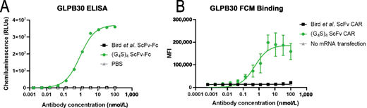 Specificity of the GLPB30 antibody for (G4S)n linkers. A, ELISA showing binding of GLPB30 anti-G4S antibody to immobilized scFv containing a (G4S)4 linker (green circles) and no binding to an immobilized non-G4S linker containing ScFv with the modified Bird and colleagues’ linker (ref. 21; black squares) or uncoated wells (gray triangles). GLPB30 demonstrated dose-dependent binding and an EC50 of 0.57 nmol/L. B, GLPB30 binding to HEK293T cells expressing an ScFv with an (G4S)4 linker observed by flow cytometry (green circles). No binding is observed with HEK293T cells expressing an ScFv with a non-G4S linker (black squares) or to untransfected cells (gray triangles). GLPB30-bound cell surface antigen in a dose -dependent manner with a calculated EC50 of 0.78 nmol/L.