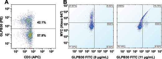Cell binding of GLPB30 antibodies to CAR T-cell constructs containing G4S-linked ScFvs observed by flow cytometry. A, 3–23/B3 CAR-transgene expression was detected by anti-G4S GLPB30 antibody followed by anti-human PE secondary antibody. Staining was performed two days following mRNA transduction of CD3+ pan T cells. B, Anti-CD19 CAR with an (G4S)3 linker containing an N-terminal MYC tag could be detected on lentiviral-transfected pan T cells. MYC-positive CAR T cells had increased GLPB30 staining whereas MYC-negative cells had little GLPB30 staining.