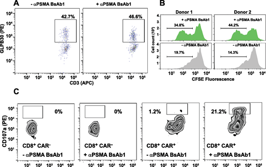 Bispecific cell binding, proliferation, and ligand engagement–dependent proliferation and degranulation. A, The presence of BsAb alone does not alter CAR surface expression. BsAb molecules (5 μg/mL) were added into 3–23/B3 CAR T cells with a (G4S)4 linker and incubated for 48 hours. CAR-surface expression in CD3/CD4/CD8+ T cells was detected by anti-G4S antibody (CAR in CD8+ T cells shown here) and remained similar in the presence or absence of BsAbs. B, CAR T cells generated using pan T cells from two different donors were labeled with CFSE, coculture with PSMA expressing tumor cells in presence/absence of BsAb. CFSE staining intensity was analyzed 72 hours after stimulation. CFSE staining in absence of BsAb is shown in gray histograms and those in presence of BsAb in green histogram. C, (G4S)4-containing CAR T cells were cocultured with PSMA-expressed tumor cells with and without BsAb1. After 5-hour coculture, CD107a detection of CAR T cells was measured. GLPB30 mAb was used to detect CAR expression. Representative plots shown CAR− cells had no CD107a expression in the presence or absence of BsAb1. In the CAR+ population, only cells incubated with BsAb showed appreciably increased CD107a expression, suggesting BsAbs are necessary for CD107a expression in the presence of tumor cells.