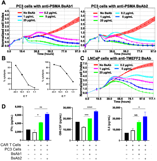 Dynamic monitoring of 3–23/B3 CAR T-cell–mediated cytotoxicity and cytokine profiling. xCelligence cytotoxicity assay was used to measure real-time tumor cell lysis by 3–23/B3 bearing CAR T cells in presence of diluted BsAbs. Bispecific anti-PSMA and anti-G4S linker (GLPB30) molecules (BsAb1 and 2) were generated, and further tested in xCelligence cytotoxicity assay targeting PSMA-expressing PC3 cells (A). In this 97-hour experiment, the E:T ratio of 3–23/B3 G4S-containing CAR T cells to PC3 cells was 5:1. Experiments were performed in triplicate. In a separate experiment (B), percent cytolysis at 72 hours at different E:T ratios were also accessed and are shown for BsAb 1 and 2 (added at 5 μg/mL). C, Similar xCelligence cytotoxicity experiments were performed using anti-TMEFF2 and GLPB30 bispecific antibodies. Dose dependent cytotoxicity was observed only in the presence of BsAb. D, In another separate experiment, cytokine profiles of supernatant in coculture of CAR T and tumor cells (E:T = 5:1) were assessed. INFγ, GM-CSF, and IL6 levels were measured at 72 hours after incubation and were elevated in the presence of BsAbs. Data are shown as the mean ± SD. Significance between groups containing both CAR T and PC3 cells were calculated using one-way ANOVA with multiple comparisons (Dunnett's test). *, P < 0.05; **, P < 0.01;***, P < 0.001; ****, P < 0.0001.