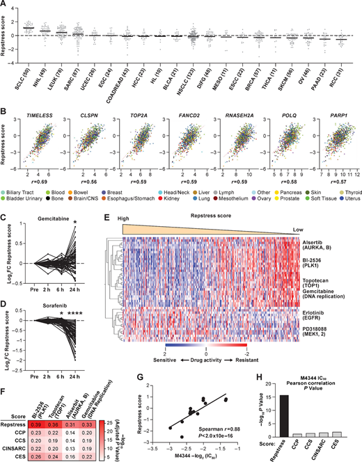 Across cancer cell lines, repstress score profiles replication stress at a functional network level. A, Dot plot showing distribution of repstress score across 839 cancer cell lines from 20 cancer types represented in the CCLE. A black bar in each cancer type indicates the mean repstress score within each cancer type. Dashed line indicates zero of Z-normalized repstress score across all of cancer cell lines in CCLE. The numbers with cancer type labels on x-axis indicate the numbers of cell lines included. B, Across cancers, repstress score correlates with expression of representative genes involved in: (i) increasing replication stress tolerance by protecting replication forks (TIMELESS, CLSPN), (ii) solving topological problems during replication (TOP2A), (iii) facilitating the repair and restart of stalled replication forks (FANCD2), (iv) resolving barriers to replication fork progression (RNASEH2A), and (v) DNA damage repair factors (POLQ and PARP1). Correlations were analyzed in CellMiner CDB (16). Spearman correlation coefficients (r) are indicated. All of P values by Spearman correlation test are <0.0001. Dynamics of normalized repstress score with treatment of gemcitabine (C) and sorafenib (D) in NCI60 cell lines. Dynamics of gene expression pretreatment and posttreatment are retrieved from The NCI Transcriptional Pharmacodynamics Workbench (42). *, P < 0.05; ****, P < 0.0001 by Wilcoxon signed-rank test. For detailed method, please refer the Supplementary Materials and Methods. E, Heatmap of sensitive or resistant agents in cell lines with high versus low repstress score in the CTRP. Drug activity scores indicate calculated AUC over a 16-point concentration range using an automated, high-throughput workflow fitting concentration–response curves (43). The drug activity scores were retrieved from CellMiner CDB (16) and z score normalized in the heatmap. Cell lines are sorted by repstress score from high (left) to low (right). The heatmap shows 30 mostly sensitive compounds in high repstress score cell lines, and all of sensitive compounds in low repstress score cell lines with FDR of <5%. For detailed methods, please refer Supplementary Materials and Methods. F, Heatmap of Pearson correlations between gene signature scores and activities of drugs targeting replication stress. The color in each column indicates log-transformed P value of Pearson correlation between annotated gene signature score and drug activity score. The number in each column shows Pearson correlation coefficient between them. CCP, CCS, CINSARC, and CES scores are calculated as reported previously (39, 45–47). G, Correlations between half maximal inhibitory concentration (IC50) values of M4344 (an ATR-related inhibitor) and repstress score in different cancer type cell lines. The IC50 value of M4344 in different cancer type cell lines was examined in a previous report (48). H, Comparison of Spearman correlations between M4344 IC50 values and scores of repstress and other cell proliferation gene signatures. Each bar represents log-transformed P value of Spearman correlation between annotated gene signature and M4344 IC50 values. The IC50 value of M4344 in different cancer type cell lines is examined in a previous report (48). CCP, CCS, CINSARC, and CES scores are calculated as reported previously (39, 45–47). NHL, non–Hodgkin lymphoma; LEUK, leukemia; SARC, sarcoma; UCEC, uterine endometrioid cancer; EGC, esophagogastric adenocarcinoma; COADREAD, colorectal adenocarcinoma; HCC, hepatocellular carcinoma; HL, Hodgkin lymphoma; BLCA, bladder urothelial carcinoma; NSCLC, non–small cell lung cancer; DIFG, diffuse glioma; MESO, mesothelioma; ESCC, esophageal squamous cell carcinoma; BRCA, breast carcinoma; THCA, thyroid cancer; SKCM, skin melanoma; OV, ovarian cancer; PAAD, pancreatic adenocarcinoma; RCC, renal cell carcinoma; FC, fold change; hr, hour; AURKA, B, aurora kinase A and B; PLK1, polo-like kinase-1; TOP1, topoisomerase I; MAPK1, 2, mitogen-activated protein kinase kinase 1 and 2;CCP, cell-cycle progression; CCS, cell-cycle score; CINSARC, complexity index in sarcomas; CES, Centromere and kinetochore gene expression score.