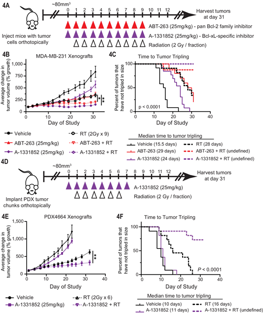 Pan Bcl-2 family inhibition or specific inhibition of Bcl-xL radiosensitizes PIK3CA/PTEN wild-type TNBC xenografts. MDA-MB-231 xenograft tumors (A) were treated with 25 mg/kg ABT-263 or 25 mg/kg A-1331852 ± concurrent radiotherapy with 13–16 tumors per group. Tumor volume was measured every 2–3 days (B) and used to calculate the median time to tumor tripling (C). A PDX model of TNBC was also used to assess effects of A-1331852 + RT (D, E, and F) with 11 tumors per group. Tumor volume was compared using a one-way ANOVA at the study endpoint and Kaplan–Meier curves were compared using the log-rank (Mantel–Cox) test. (*, P < 0.05; **, P < 0.01; ****, P < 0.0001).