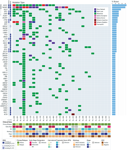 Recurrently mutated genes in Hodgkin lymphoma. The frequency and type of mutations affecting genes mutated in 3 or more patients in our cohort are shown in each row. Genes determined to be significantly mutated using MuSiC and/or dN/dScv (FDR < 0.05) are highlighted (SMG = significantly mutated gene). The open SMG shape indicates that a gene was determined to be an SMG only when HL-513 was excluded from the statistical analysis. The filled SMG shape indicates a gene that was determined to be an SMG only when HL-513 was included in the statistical analysis. The darkest SMG shape indicates that a gene was determined to be an SMG in all analyses (including and excluding HL-513). The bar graph on the right summarizes the frequency of mutations for that gene across the entire cohort. For genes with multiple mutations in a single patient, only one mutation type is shown, prioritized by the order listed in the legend.