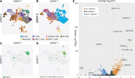 snRNA-seq of Patient HL-248. A, UMAP representation of unsupervised clustering of nuclei sequenced in HL-248. B, UMAP of HL-248 clusters with cell-type labels determined by celldex and SingleR. C, UMAP of HL-248 where highlighted nuclei are nuclei with a VAF > 0 for the EIF4A2 variant uncovered in this sample's deep exome (chr3:186783634 T/A). D, UMAP of HL-248 where highlighted nuclei are nuclei that express an expanded BCR clonotype. E, Genes differentially expressed between cluster 3 and all other B cells are displayed as either downregulated with a significant P value (blue) or upregulated with a significant P value (orange).