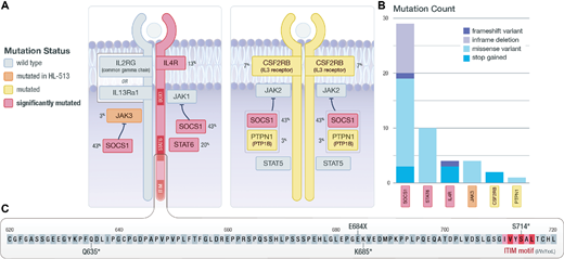 JAK/STAT signaling. A, Diagram of components of the JAK/STAT signaling cascade. Identified SMGs are shown in red; genes mutated in at least one non-hypermutated sample are shown in yellow; genes mutated only in the hypermutated sample (HL-513) are shown in orange. The gene mutation frequency across the cohort is shown as a percent. B, The total number and type of mutation observed are shown. C, Zoomed-in view of the C-terminal region of IL4R, where the observed truncating mutations are located. Also shown is the proximity of identified mutations to an ITIM motif that may impact STAT6 activation.