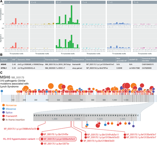 Hypermutated patient germline analysis. A, Comparison of trinucleotide sequence contexts of COSMIC signature 6 and HL-513 suggesting a high degree of similarity between the two. B, Summary of the MMR germline mutations identified in HL-513. C, Lolliplot of MSH6 with Lynch syndrome mutations from ClinVar and the HL-513 mutation identified here. ClinVar mutations annotated as pathogenic and associated with Lynch syndrome are shown. The shaded oval highlights the duplication identified in HL-513. Note: mutations are plotted by ProteinPaint (103) according to (left-shifted) genomic coordinates but labeled with their HGVS expressions (right-shifted) from ClinVar explaining the discrepancies in some amino acid positions displayed.