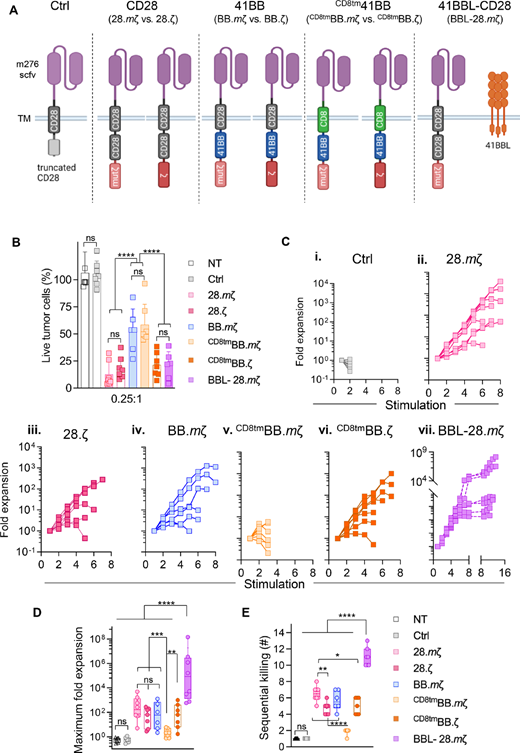 Generation and functional characterization of syngeneic B7-H3 CAR T-cells with different CAR structural designs. A, Scheme of mB7-H3-CAR constructs. Created with BioRender.com. B, MTS cytotoxicity assay against GL261 tumor cells at an E:T ratio of 0.25:1 (n = 7, mean ± SD, two-way ANOVA with Tukey test for multiple comparisons). C, T cells expressing different mB7-H3 CAR constructs were cocultured with GL261 tumor cells at a 2:1 ratio with restimulation every 3 days against fresh tumor cells until they no longer killed and/or expanded. Graphs show fold expansion of different T-cell donors upon successive stimulations (x-axis: each stimulation is a 3-day coculture with fresh GL261 tumor cells, n = 7). D, Summary of the maximum fold expansion of mB7-H3 CAR T-cells from individual donors upon repeat stimulation with GL261 tumor cells (n = 7, minimum to maximum range, one-way ANOVA with Tukey test for multiple comparisons). E, Maximum number of times CAR T-cells were able to kill Gl261 tumor cells (n = 7, minimum to maximum range, one-way ANOVA with Tukey test for multiple comparisons).