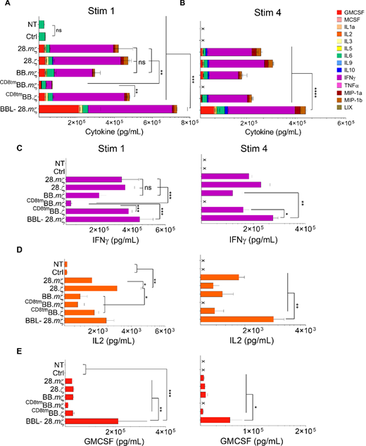 Surface expression of 41BBL on CD28-based mB7-H3-CAR T-cells enhances effector cytokines release in repeat stimulation assay. Culture supernatants were collected at 24 hours after repeated stimulation with GL261 tumor cells at 2:1 ratio and analyzed using Multiplex assay. Summary plots of cytokines and chemokines produced by CAR T-cells after first stimulation (A) and fourth stimulation (B) against GL261 tumor cells (n = 4, mean ± SEM, two-way ANOVA with Tukey test for multiple comparisons). C–E, CAR T-cell production of IFNγ, IL2, and GMCSF at 24 hours’ after stimulations one and four (n = 4, mean ± SEM, two-way ANOVA with Tukey test for multiple comparisons).
