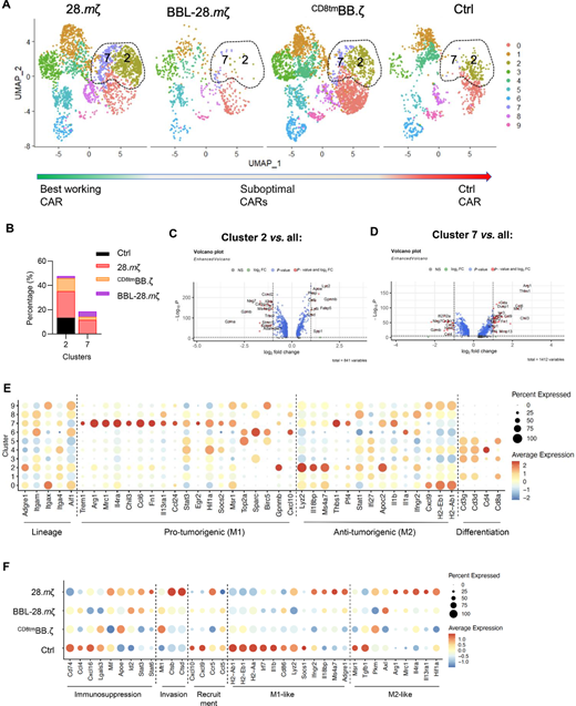 Successful responses with 28.mζ CAR T-cells are associated with balanced proinflammatory and anti-inflammatory myeloid cell responses. Seurat clusters 0, 7, 10, 14 were reclustered into 10 Mac/MG subclusters to further define the diversity of myeloid responses after CAR T-cell treatment. A, UMAP plots of the Mac/MG subclusters visualized by treatment group. B, Summary plot of Mac/MG subcluster 2 and 7 frequencies per treatment. Volcano plots showing differentially upregulated and downregulated genes in macrophage subclusters C2 in C, C7 in D as compared with all other myeloid subclusters. E, Dot plot depicting expression of myeloid lineage markers, genes associated with protumorigenic responses, antitumorigenic, and differentiation genes. Dot size represents the percentage of cells expressing each gene and dot color represents mean expression level with a gradient of lowest expression in blue to highest expression in red. F, Dot plot depicting differentially expressed genes associated with immunosuppression, invasion, recruitment, M1-like and M2-like macrophage responses per treatment group.