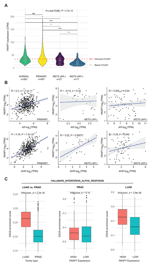 Induction of PARP7 Creates a Vulnerability for Growth Inhibition by ...