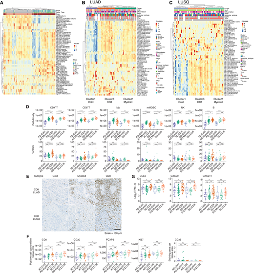 Immune subtypes based on TIL profiling using FCM; NAT (n = 157), LUAD [85; Cold (n = 19), Myeloid (n = 36), CD8 (n = 30)], LUSQ [50; Cold (n = 14), Myeloid (n = 19), CD8 (n = 17)]. A, Heat map of cell densities and %CD45 of immune cells in NSCLC tumors and NATs. Each column represents a patient; data were normalized by Z-scores to indicate relative compositions of immune cells. Cell density is presented as the log of each cell type. %CD45 is presented as each immune cell type/CD45. Heat maps of cell density and %CD45 of TILs in LUAD (B) and LUSQ (C) tissues. D, Cell densities and %CD45 of immune cell types in LUAD and LUSQ immune subtypes. Top, Cell density indicates immune cells. Bottom, %CD45 indicates immune cells. AD.Cold, AD.Myeloid, and AD.CD8 are LUAD subtypes Cold, Myeloid, and CD8, respectively. SQ.Cold, SQ.Myeloid, and SQ.CD8 are LUSQ subtypes Cold, Myeloid, and CD8, respectively. E, IHC staining for CD8 in a representative case from immune subtypes. For CD8, FOXP3, CD20, and Ki67, the positivity of each marker was given as the number of total positive cell number within each tissue core. For CD33, the ratio of CD33-positive staining area per tissue area was calculated. F, Immune cell counts by IHC staining in lung cancer tissues. G, CD8+ T cell–attractant chemokine gene expression in immune subtypes.