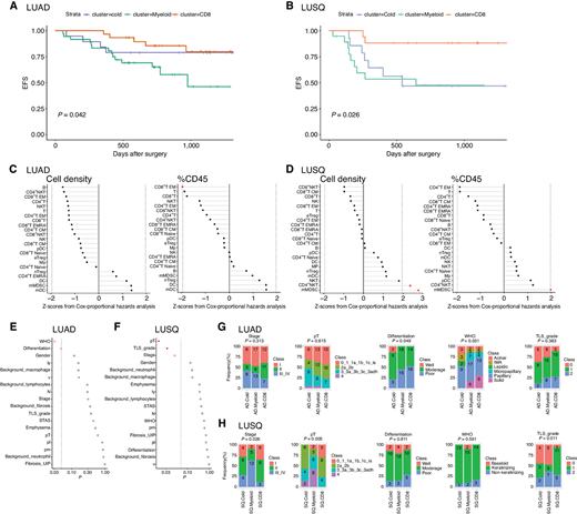 Patient outcomes in immune subtypes. A and B, Kaplan–Meier EFS curves for subtypes of LUAD (A) and LUSQ (B). P values were calculated by multivariate Cox regression. C and D, Relationships of cell density (left) with %CD45 (right) for each immune cell type infiltrated in tumors to patient prognosis in LUAD (C) and LUSQ (D). Z-scores from Cox proportional hazards analysis are plotted; in the plots, red dots indicate P ≤ 0.05. E and F, Differences in histopathologic findings for immune subtypes of LUAD (E) and LUS (F). The P values determined using Fisher exact test w are plotted; in the plots, red circles indicate P ≤ 0.05 and filled red circles indicate Holm-adjusted P ≤ 0.2. G and H, Frequencies of each classification in immune subtypes in LUAD (G) and LUSQ (H). Numbers of patients are indicated in the bar segments.