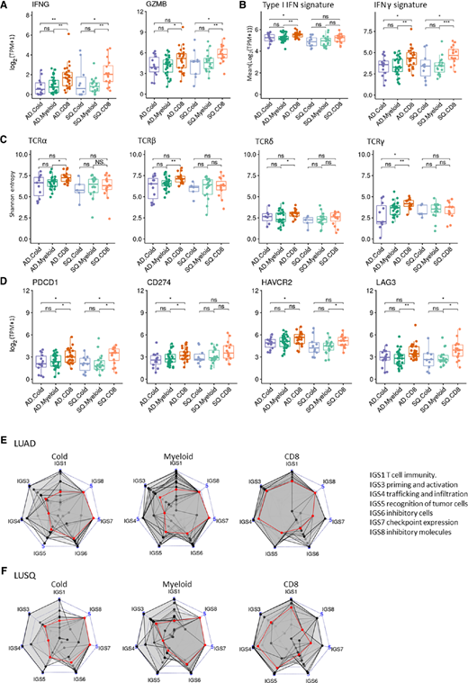 Immunologic characteristics of immune subtypes based on TIL profiling. Numbers of cases analyzed using RNA-seq were LUAD (n = 72; Cold, n = 14; Myeloid, n = 33; CD8, n = 25) and LUSQ (n = 44; Cold, n = 10; Myeloid, n = 18; CD8, n = 16). A, Expression of IFNγ and granzyme B as a function of immune subtype. B, Scores of type I IFN and IFNγ signatures as a function of immune subtype. Expression levels and scores were obtained from RNA-seq. C, Boxplots showing Shannon entropies of canonical TCR repertoires (TCRα, TCRβ, TCRδ, and TCRγ) as a function of immune subtype. D, Expression of immune checkpoint molecules as a function of immune subtype. PDCD1, CD274, HAVCR2, and LAG3 expression levels are obtained from RNA-seq. E and F, Radar plots showing immunograms of immune subtypes; axes were generated with the IGS. Median IGS is plotted in red. LUAD (E). LUSQ (F).