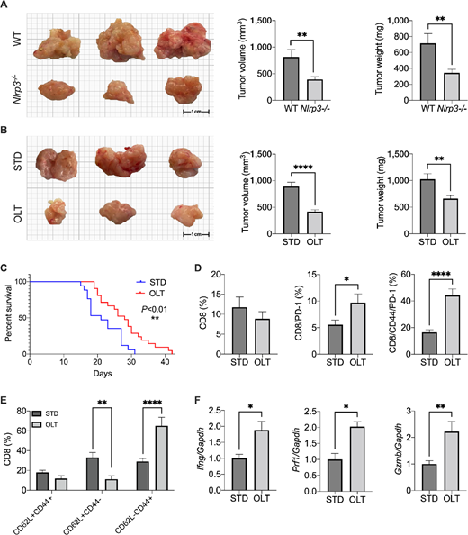 Pancreatic Ductal Adenocarcinoma Cells Regulate NLRP3 Activation to ...