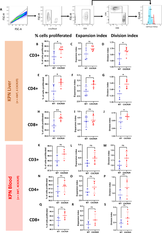 Characterizing Neutrophil Subtypes in Cancer Using scRNA Sequencing ...
