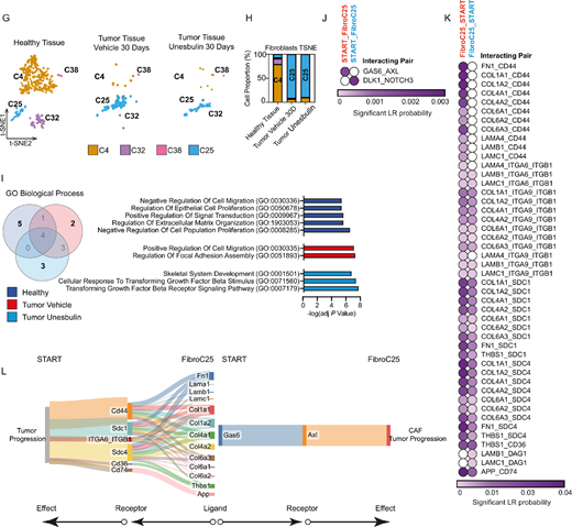 Comparison of pulmonary healthy and diseased endothelial cells and fibroblasts characterize their distribution and tumor-specific interplays with START. A, Split t-SNE plot distribution of the four endothelial clusters identified in healthy lungs (left), Vehicle- (middle), and Unesbulin-treated tumors (right). Each color represents a defined transcriptional cluster. B, Histograms representing the percentage contribution of endothelial clusters per sample (healthy lungs, Vehicle- and Unesbulin-treated tumors). C, Venn diagram showing common and unique GO categories/ biological processes enriched in endothelial cells from each sample (healthy lungs, Vehicle- and Unesbulin-treated tumors). D, Heat map showing the predicted interactions between endothelial cells and START in Vehicle- (red) and Unesbulin-treated tumors (light blue). E, Heat map showing the predicted interactions between START and endothelial in Vehicle- (red) and Unesbulin-treated tumors (light blue). F, Sankey plot of the protumorigenic phenotypes promoted on START by endothelial-secreted ligands (left) and on endothelial cells by START-secreted ligands (right). G, Split t-SNE plot distribution of the fibroblast clusters identified in healthy lungs (left), Vehicle- (middle), and Unesbulin-treated tumors (right). Each color represents a defined transcriptional cluster. H, Histograms representing the percentage contribution of fibroblast clusters per sample (healthy lungs, Vehicle-, and Unesbulin-treated tumors). I, Venn diagram showing common and unique GO categories/biological processes enriched in fibroblasts from each sample (healthy lungs, Vehicle- and Unesbulin-treated tumors). J, Heat map showing the predicted interactions between START and fibroblasts in Vehicle- (red) and Unesbulin-treated tumors (light blue). K, Heat map showing the predicted interactions between fibroblasts and START in Vehicle- (red) and Unesbulin-treated tumors (light blue). L, Sankey plot of the protumorigenic phenotypes promoted on START by fibroblast-secreted ligands (left) and on fibroblasts by START-secreted ligands (right).
