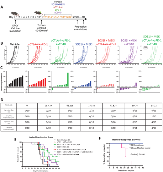Combination of SOS1i+MEKi inhibitors sensitize cold KPCY tumors to confer prolonged TGI and immune memory. A, Schematic of treatment regimen of SOS1i+MEKi with aPD-1, aCTLA-4, and aCD40. B, Tumor volume from day postimplantation. T cell low clone (TC4) were implanted subcutaneously into C57Bl/6 mice (n = 10–11 mice per group) and treated when tumors reached 40–100 mm3. C, Waterfall plots from mice bearing tumors comparing start of therapy (day 12) with 48 hours after final dose (day 23; n = 10–11 mice per group). D, Table summarizing results of outcomes after treatment of TGI at day 23, tumor regressions at day 23, complete responders at day 23, tumor regressions at end of experiment day 60, and complete responders at end of experiment day 60. Columns are in order of B. E, Kaplan–Meier survival curves from mice implanted with TC4 clone and treated with indicated therapy. Median survival in days shown in parenthesis. n = 10–11 mice per group (* = 0.05, ** = 0.01, *** = 0.001). F, Survival of mice cured by SOS1i+MEKi+aPD-1+aCTLA-4+aCD40 therapy in B were rechallenged with a secondary tumor on the opposing flank. Kaplan–Meier survival curves of cured mice (n = 3) or age-matched controls (n = 5).