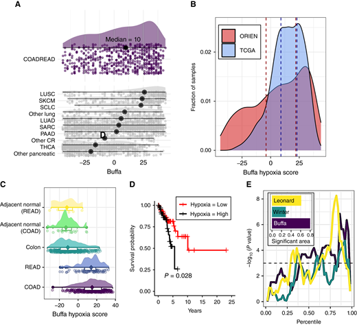 Hypoxia exists in colorectal cancer and predicts poor patient outcomes after X-ray therapy. A, Hypoxia expression signature scores for the ORIEN dataset across tumor sites showing a wide distribution for COAD and READ samples. The median values are indicated with a black circle. Abbreviated cancer names are lung squamous cell carcinoma (LUSC), skin cutaneous melanoma (SKCM), small cell lung cancer (SCLC), lung adenocarcinoma (LUAD), sarcoma (SARC), pancreatic adenocarcinoma (PAAD), other colorectal cancers (Other CR), and thyroid carcinoma (THCA). B, A comparison of the Buffa score histogram of ORIEN with TCGA colorectal cancer datasets shows a similar mode in both but with a wider distribution for ORIEN. Tertiles used to designate “high” and “low” hypoxia are marked with dashed lines. C, Comparison of Buffa scores in normal adjacent and normal GTEx data compared with colon and rectal cancers (TCGA). D, For ORIEN patients receiving radiotherapy, a Kaplan–Meier curve stratifying the patient population into upper and lower hypoxia tertiles shows that hypoxic tumors have a worse patient outcome. E, Cox proportional hazard P values calculated by stratifying the hypoxia scores at every percentile (x-axis). The larger area above the horizontal dotted line indicates the strong separation of survival at a range of threshold values and is therefore more robust than single threshold analyses for small sample sizes. The total area of the Buffa hypoxia score was slightly larger than the others (inset).