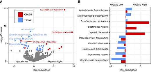 Hypoxia score associated with significant differences in microbial populations in colorectal cancer. A, Volcano plot of microbes from ORIEN and TCGA tumors showing strain differences when tumors are stratified by high vs. low hypoxia scores (tertiles). B, Fold change of microbes that show hypoxic enrichment in both ORIEN and TCGA datasets. XRT, X-ray therapy.