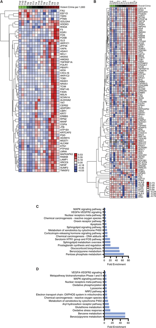 Gene expression programs and neighborhood violent crime rates in lung tumors. A, Heatmap of genes correlated with violent crime rates per 1,000 (P < 0.05). Average normalized gene expressions per tumor sample were extracted from spatial transcriptomics data and checked for correlation with violent crime per 1,000. Housekeeping genes were removed and data were log-transformed and hierarchically clustered prior to visualization. From (left to right), samples are ordered from lowest violent crime ranking to highest violent crime ranking. B, Heatmap of genes correlated with overall crime rates (P < 0.05). Average normalized gene expressions per sample were extracted from spatial transcriptomics data and checked for correlation with violent crime per 1,000. Housekeeping genes were removed and data was log-transformed and hierarchically clustered prior to visualization. From (left to right), samples are ordered from lowest violent crime ranking to highest violent crime ranking. C, Pathway analysis of genes upregulated with violent crime rates per 1,000 (P < 0.05). Upregulated genes were extracted from the violent crime heatmap, and functional annotation of genes was performed in DAVID using Biocarta, Kegg, and Wikipathways analysis. D, Pathway analysis of genes upregulated with overall crime (P < 0.05). Upregulated genes were extracted from the violent crime heatmap, and functional annotation of genes was performed in DAVID using Biocarta, Kegg, and Wikipathways analysis. Abbreviation. T, tumor.