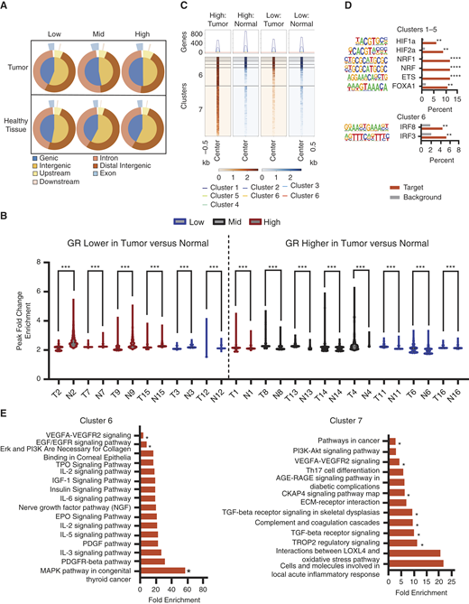 Distinct pathways altered within the GR cistrome in response to violent crime. A, Binding site distribution of GR in tumor samples and healthy tissue samples by low, mid, and high exposure to violence. Bam files for individual samples were merged by exposure to violence grouping. Merged tumor and merged normal bed files were generated relative to merged input files. Binding site distribution from these merged bed files was generated using ChIPSeeker. B, Comparison of enriched GR binding sites in tumor compared to healthy tissue samples. For each sample, tumor and healthy tissue bed files were generated by filtering out binding sites observed in the input. For each patient, the top 10% of enriched binding sites for tumor and healthy tissue were plotted and compared using the Kolmogorov–Smirnov test. A cutoff of 10% was selected to ensure a high confidence level in GR binding sites, as the top 10% of binding sites exhibited a high magnitude of GR binding. C, Comparison of the magnitude of GR binding sites from high-violence tumor samples in tumor vs. normal samples in high-violence vs. low-violence samples. BAM files for individual samples were merged by exposure to violence grouping. A merged bed file of high-violence tumor sample binding sites was generated relative to input binding sites. Merged sBAM files were generated using merged BAM files and the merged bed file. Heatmaps visualizing the magnitude of GR recruitment to chromatin were generated using Deeptools, and clusters were generated using the kmeans clustering algorithm. Darker shading indicates an increased magnitude of GR binding. D, Motif analysis of binding sites in clusters 1 to 5 and cluster 6 from (C). Motif analysis was performed using Homer. E, Pathway analysis of annotated genes from clusters 6 and 7 visualized in (C). Genes were annotated using GREAT analysis, and pathway analysis was performed in DAVID using Biocarta, Kegg, and Wikipathways analysis. *, P < 0.05; **, P < 0.01; ***, P < 0.0001; ****, P < 0.000001. Abbreviations. T, tumor; N, normal; Low, low exposure to violence; Mid, mid exposure to violence; High, high exposure to violence.