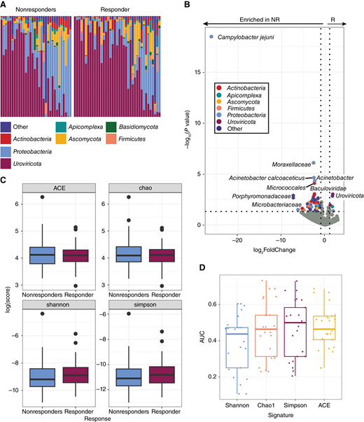 Melanoma tumors that respond to ICIs have a distinct tumor microbiome. A, The relative abundances of the tumor microbiome at the phylum level showed wide intersample variation in the abundances of Proteobacteria (blue) and viruses [Uroviricota (maroon)], without gross differences between nonresponders (NR) and responders (R). B, Differential abundance analysis of taxa found within tumor RNA-seq data. Colored points represent significantly (P value <0.05) enriched taxa with a high (>1.00) fold difference in abundance between responders and nonresponders to ICIs. C, The diversity of the tumor microbiome between responders and nonresponders shows no significant differences. D, The diversity of the microbiome is a poor predictor of outcomes.