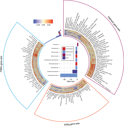 Association of microbes and gene signatures. Effect size plot showing the top nine most significantly enriched species. Spearman correlation coefficients between the significantly enriched species, the most significantly correlated signatures, and other gene sets shown in a heatmap.