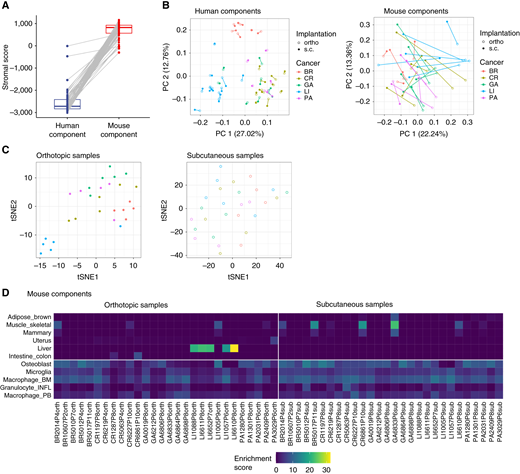 Overview of the characteristics of ortho and s.c. PDX models. A, Comparison of ESTIMATE stromal scores between the human (cancer) and mouse (stromal) transcriptomes. B, Principal component (PC) analysis of gene expression profiles for both human and mouse components. Data points are shaped according to the implantation method (ortho vs. s.c.) and colored by cancer type. C,t-distributed stochastic neighbor embedding (t-SNE) visualization of mouse (stromal) components from both ortho and s.c. PDX samples, colored by cancer type. D, Tissue-dependent clustering of the mouse (stromal) components from ortho and s.c. PDX samples, with color gradients representing enrichment scores. BM, bone marrow; BR, breast; CR, colorectal; GA, gastric; INFL, inflammatory; PA, pancreatic; PB, peripheral blood.