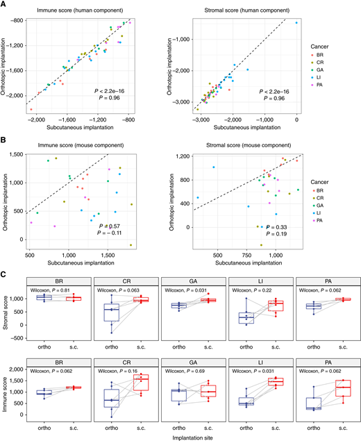 ESTIMATE immune and stromal scores in ortho vs. s.c. PDX models. A, Pearson correlation analysis of ESTIMATE immune scores and stromal scores in the human components between ortho and s.c. PDX models, with colors representing different cancer types. The dashed line indicates the line of equality (y = x). B, Pearson correlation analysis of ESTIMATE immune scores and stromal scores in the mouse components between ortho and s.c. PDX models, with colors representing different cancer types. The dashed line indicates the line of equality (y = x). C, Paired Wilcoxon tests comparing ESTIMATE immune scores and stromal scores in the mouse component between ortho and s.c. PDX models, stratified by cancer types, with colors representing the implantation methods. BR, breast; CR, colorectal; GA, gastric; PA, pancreatic.