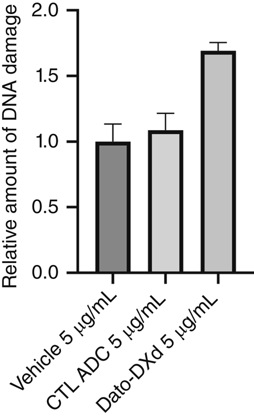DNA breakage induced from cell internalization of DXd represented by the phosphorylation of H2AX. Greater staining at doses of 5 μg/mL seen with Dato-DXd treatment compared with CTL ADC.