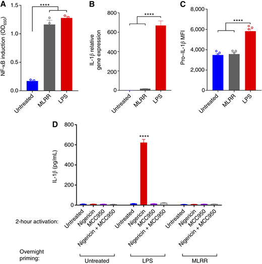 STING-induced NF-κB activation does not prime the NLRP3 inflammasome. A, THP1-Dual cells were incubated overnight with vehicle, MLRR (10 μg/mL), or LPS (1 μg/mL). The supernatant was harvested and NF-κB induction measured using the InvivoGen QUANTI-Blue secreted embryonic alkaline phosphatase detection system. B and C, BMDMs were incubated overnight with treatments as described in A. Cells were divided and processed for both IL-1β qPCR (B) and flow cytometry (C) as described in methods and stained intracellularly with eFluor780 αIL-1β proform to assess pro–IL-1β production. D, BMDMs were incubated overnight with priming drugs LPS or MLRR as described in A. Cells were then collected and treated for 2 hours in NLRP3 activator nigericin (10 µmol/L), inhibitor MCC950 (1 µmol/L), or combination as indicated. The supernatant was harvested and IL-1β secretion measured via R&D Systems murine IL-1β ELISA kit. Statistical significance was calculated using the Student t test. ns, not significant; ****, P < 0.0001. MFI, mean fluorescence intensity.